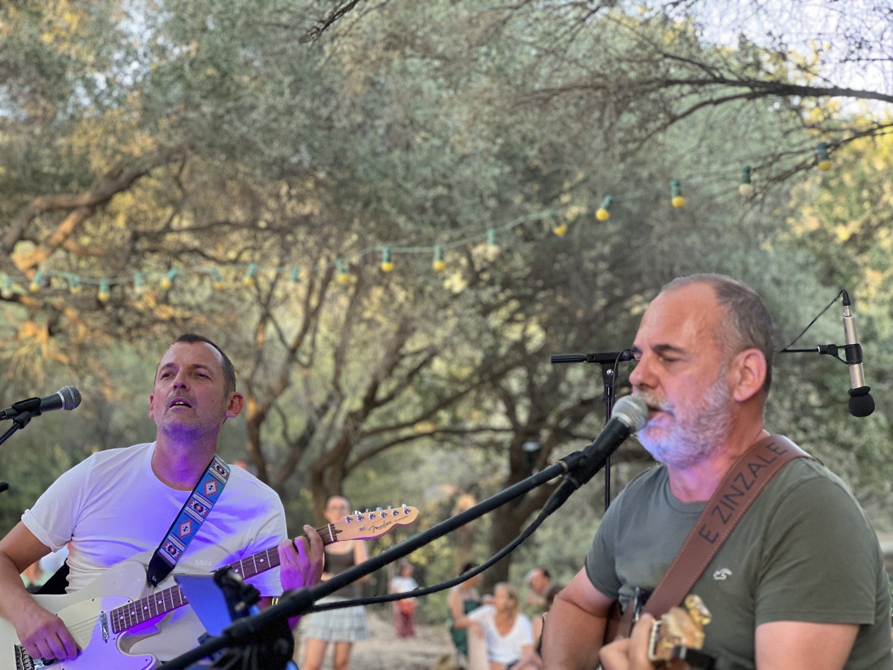E Zinzale en concert sous les oliviers